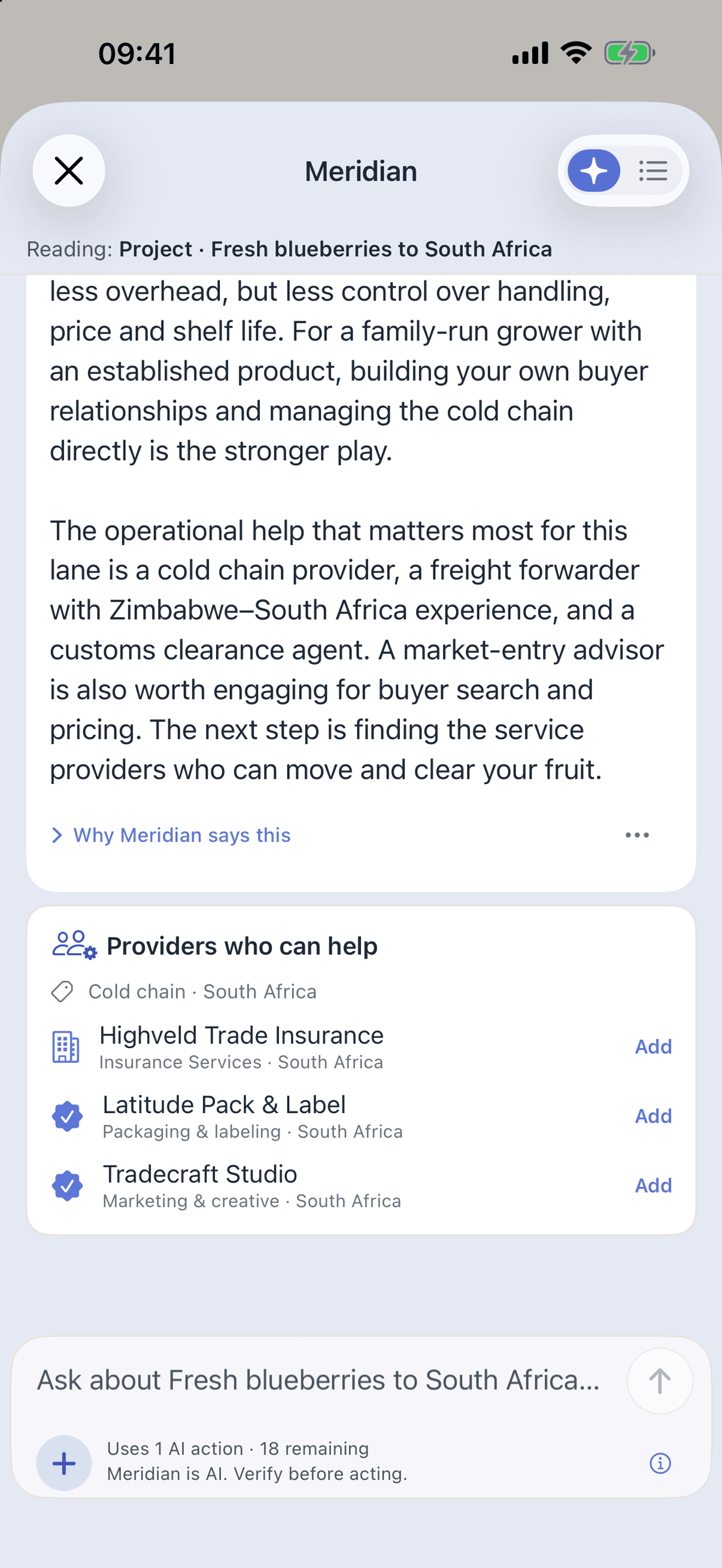 Meridian on iPhone, reading the same project, Fresh blueberries to South Africa, with an answer that ends on a Providers who can help card for South Africa